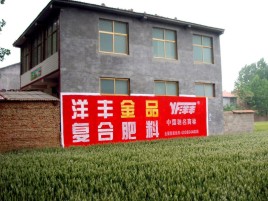 西平如何让墙体广告展现最大化效果