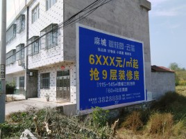 西平墙体广告质量分析