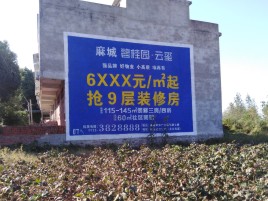 西平品牌公司青睐的墙体广告