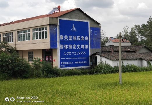 西平决定墙体广告价格的因素有哪些?