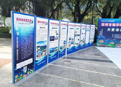 西平KT板的种类和知识。